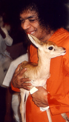 Beloved Bhagawan Sri Sathya Sai Baba